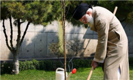 سپاه نیوز: رهبر معظم انقلاب پیش از ظهر امروز دو اصله نهال میوه کاشتند.