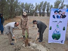 غرص تعداد ۵۰ نهال مثمر به نیابت از سردار شهید حاج قاسم سلیمانی در روستای عادل آباد میرجاوه