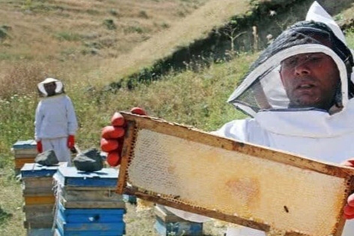 بسیج خراسان‌شمالی یکهزار و ۳۰۰ شغل ایجاد کرد