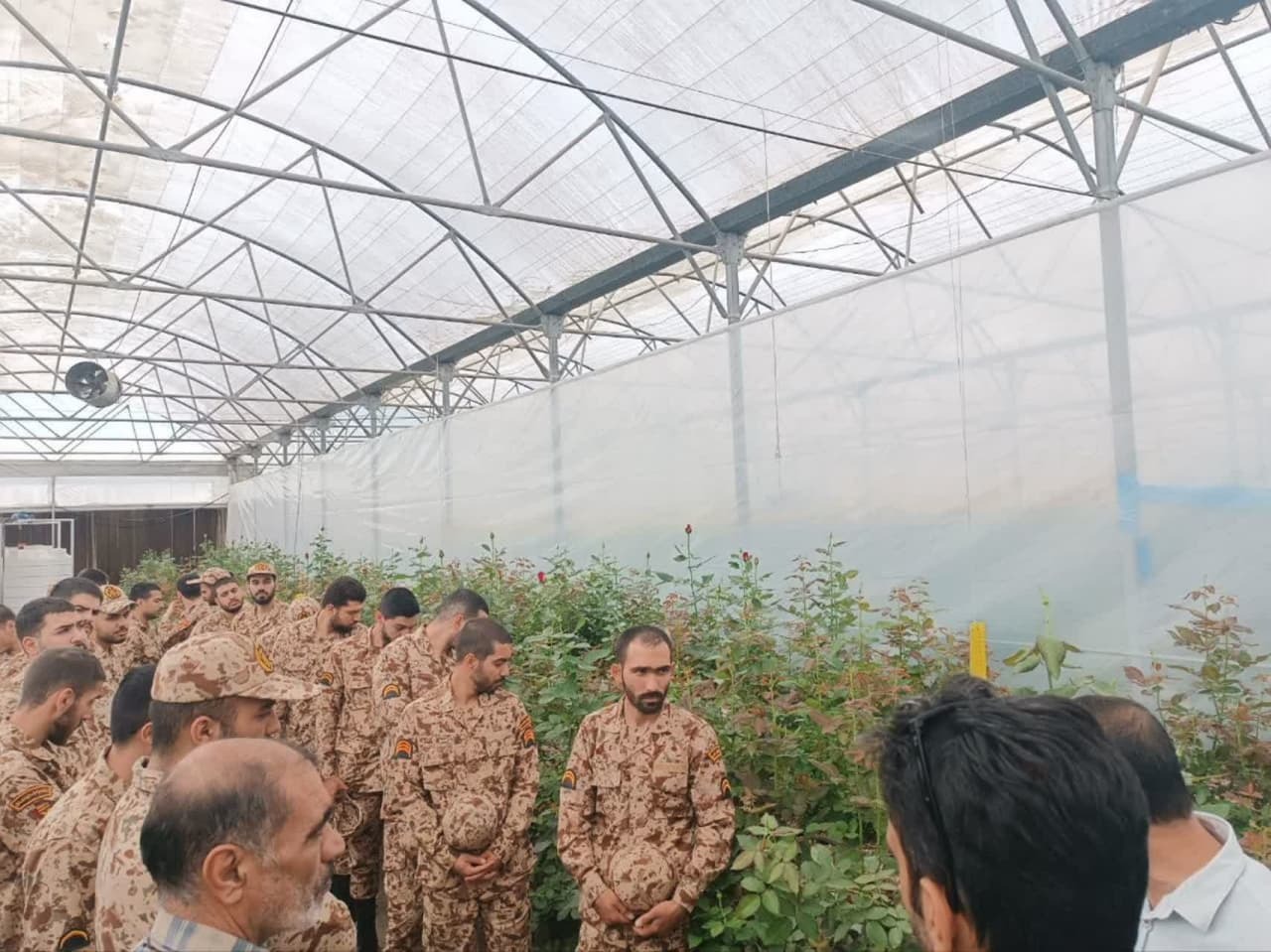 بازدید و کارگاه عملی سربازان از گیاهان گلخانه ای در دوره مهارت آموزی