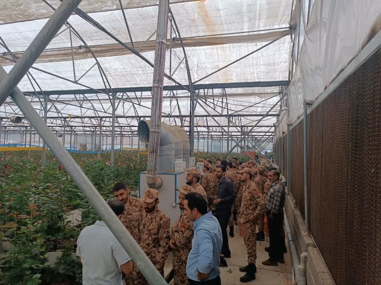 بازدید و کارگاه عملی سربازان از گیاهان گلخانه ای در دوره مهارت آموزی