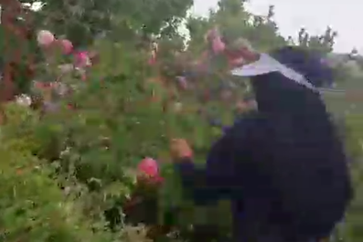 برگزاری اردوی یک روزه جهادی  به نیابت از شهدای خدمت در شهرستان بافت