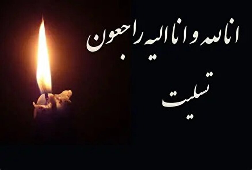 پیام انجمن جانبازان نخاعی استان فارس در پی شهادت محمدرضا دهقان