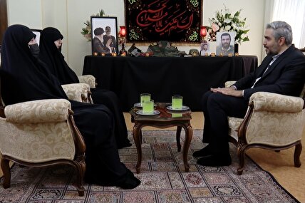 بدون تعارف با خانواده سپهبد شهید حسین سلامی