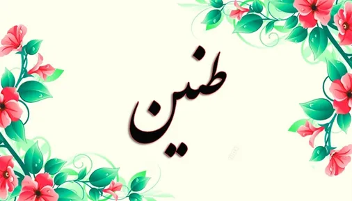 نخستین رویداد رسانه&zwnj;ای &laquo;طنین&raquo; در زاهدان برگزار شد