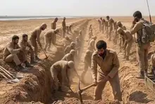 «آقای گل»