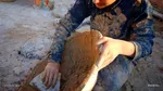 آستانه عطر و بوی فاطمی در محله؛ آغاز پروژه ساخت‌وساز نمایشگاه «مادر سادات» و کوچه‌های بنی‌هاشم
