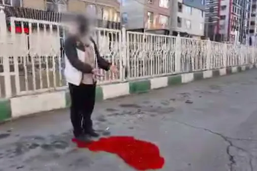 روایتی از نحوه شهادت جواد نوجه دهیان، از شهدای اغتشاشات در شهرستان فردیس