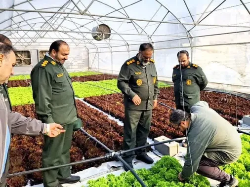 مزرعه هیدروپونیک شهر جدید مهستان به بهره برداری رسید