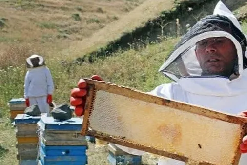 بسیج خراسان&zwnj;شمالی یکهزار و ۳۰۰ شغل ایجاد کرد