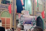 امام جمعه کازرون: الحاق دانشگاه سلمان فارسی به دانشگاه شیراز ظلم به مردم کازرون است
