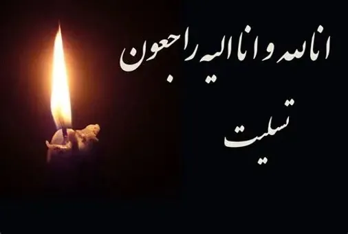 پیام انجمن جانبازان نخاعی استان فارس در پی شهادت محمدرضا دهقان