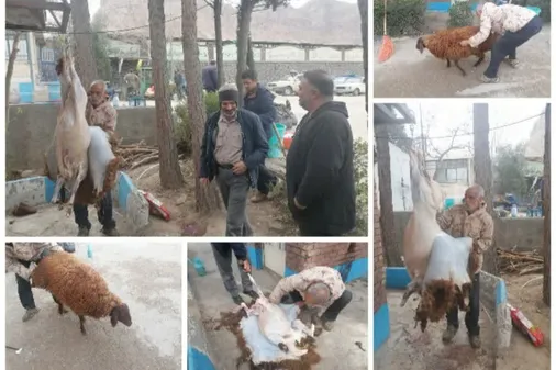 قربانی کردن اولین گوسفند به نیت سلامتی مقام معظم رهبری و کلیه رزمندگان اسلام و پیروزی حق بر باطل در اصفهان