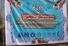 کلنگ‌زنی نیروگاه خورشیدی ۱۰۰۰کیلوواتی بسیج سازندگی سپاه فتح در یاسوج