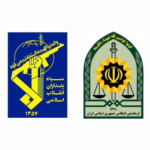 مسئول سازمان پیشکسوتان سپاه طی پیامی، فرارسیدن هفته انتظامی را به سردار سرتیپ احمد رضا رادان فرمانده کل انتظامی جمهوری اسلامی ایران تبریک گفت.
