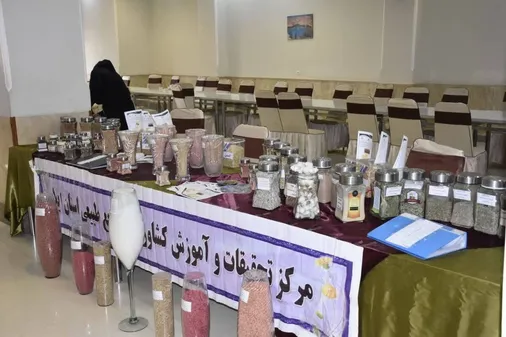 برگزاری جشنواره جهادگران امنیت غذایی در ایلام