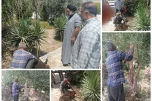 قربانی نمودن ششمین راس گوسفند در ماه صفر