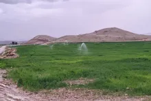 افتتاح ۵ هزار هکتار از اراضی پایاب طرح گرمسیری استان ایلام