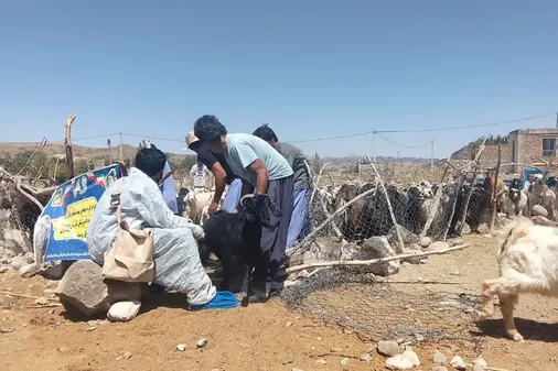 برگزاری اردوی جهادی دامپزشکی در خاش برگزار شد